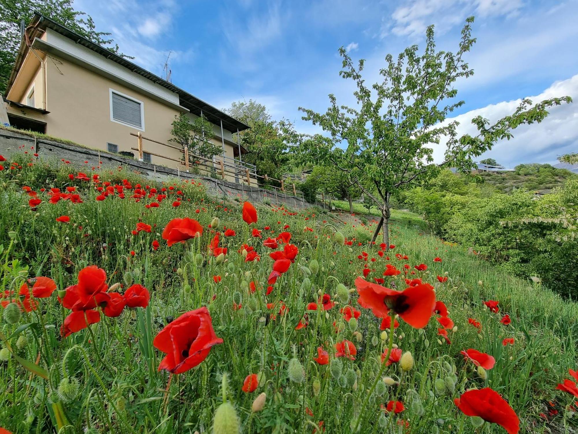 Casa Le Vignole - Aosta Villa Exterior photo